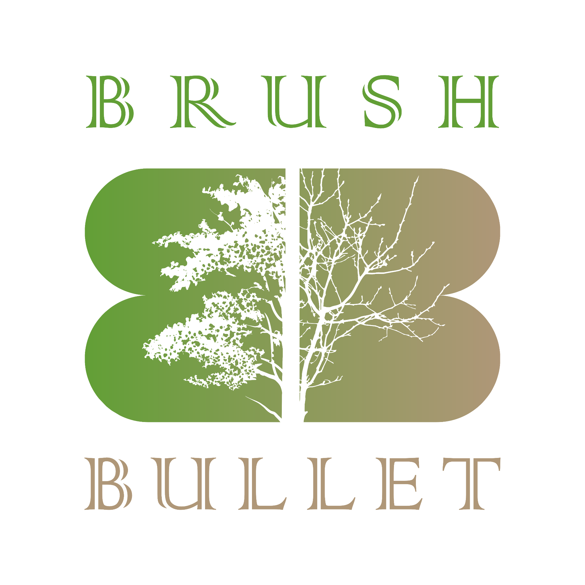 Brush Bullet